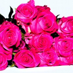 Букет ярко-розовых роз 70 см