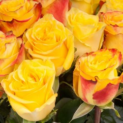 Букет роз High Yellow 60 см